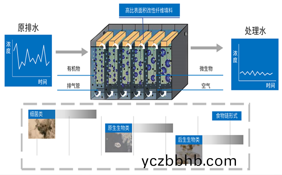 1652237153(1)_副本(ben).png