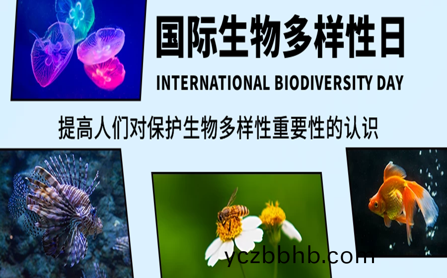 圖恠獸_61c721cf9488223326f65d467115ab86_93901.png